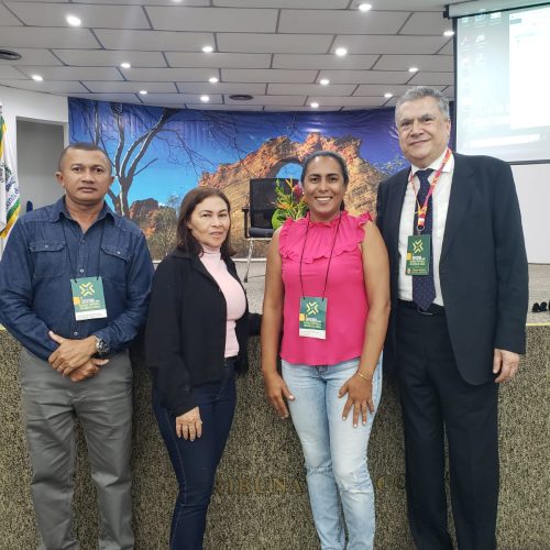 IPMSF participa da 1ª Oficina do TCE-PI sobre RPPS